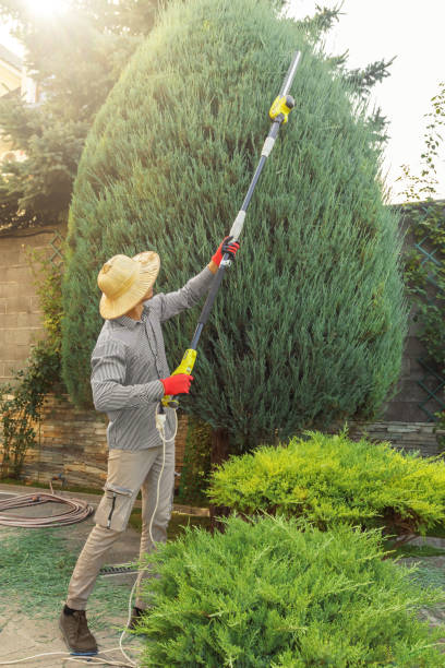 Best Tree and Shrub Care  in Prospect, PA